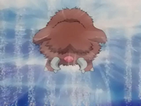 Pryce Piloswine Blizzard.png