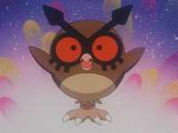 Wings Alexander's Hoothoot