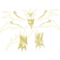 800Necrozma-Ultra.png