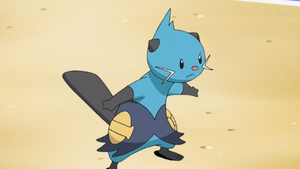 Dewott anime.png