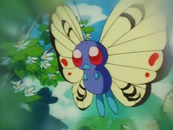 Grapefruit Islands Orange Butterfree.png