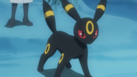 Spinel's Umbreon