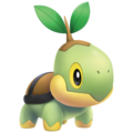 Turtwig