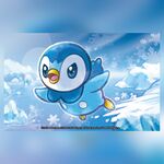 Piplup