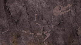 Fossilized Bird anime.png