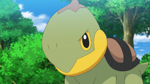 Shell Sage Turtwig.png