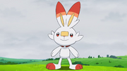 Goh Scorbunny.png