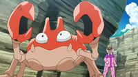 Master caddy's Krabby