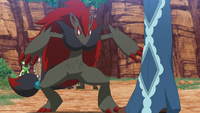 Raifort's Zoroark