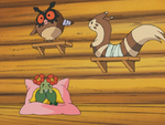 Katrina Hoothoot Furret Bellossom.png