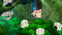 N's Hideout Pokemon 2.png