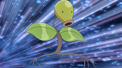 Verona Bellsprout.png