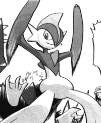 Darach's Gallade