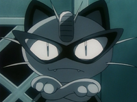 The Black Arachnid's Meowth