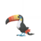 Toucannon