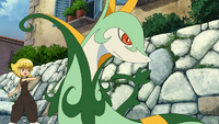 Mako's Serperior