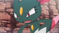 Team Flare Grunt's Sneasel (multiple)