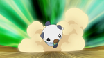 Ash Oshawott Tackle.png