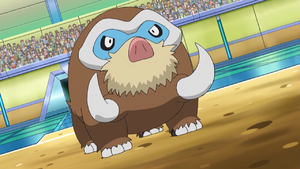 Dawn Mamoswine.png