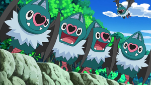 Swoobat anime.png