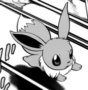 Y Veevee Eevee.png