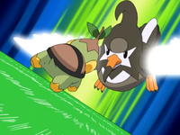 Ash Staravia Wing Attack.png