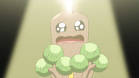 Brock Sudowoodo Fake Tears.png