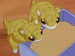 Wings Sandshrew.png