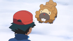 Bidoof XY121.png