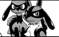 Riley's Riolu