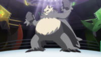 Viren's Pangoro