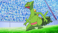 Ash Sceptile.png