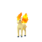 Ponyta