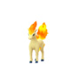 Ponyta