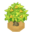 KeeTreeBerryVI XY.png