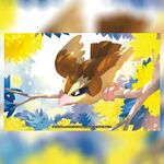 Pidgey