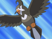 Ash Staravia.png