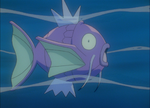 Kanto Route 1 Magikarp.png