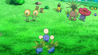 Ramos's Oddish