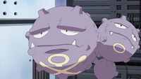 Petrel's Weezing