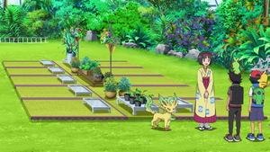 Pokémon Flower Arrangement class.png