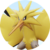 UNITE Zapdos Wild.png