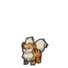 Growlithe