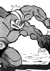 Borosue's Machamp