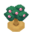 WatmelTreeBerryVI XY.png