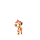 Chimchar