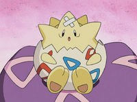 Misty's Togepi