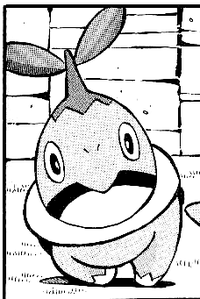 Ryū's Turtwig