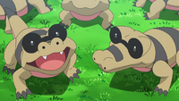 Aether Paradise Sandile.png