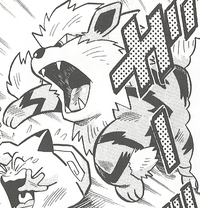 Blaine's Arcanine